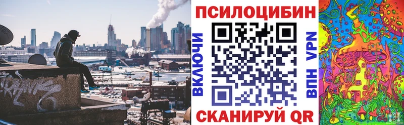 Купить где  Полесск  Псилоцибиновые грибы MAGIC MUSHROOMS 